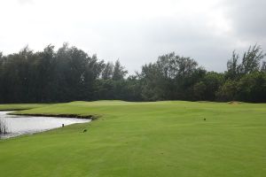 Turtle Bay (Palmer) 12th Approach